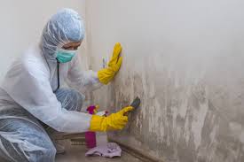 Biohazard Mold Removal in Baltimore, MD